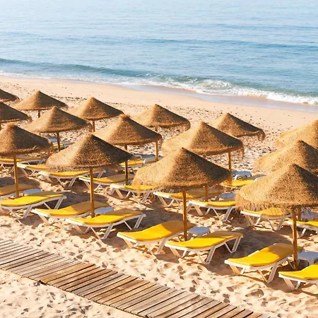 Eden & 阿尔布费拉